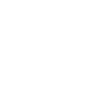 boralex logo