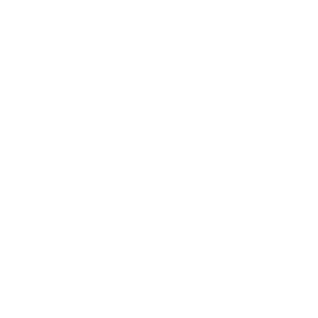 dispam logo