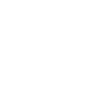 netinera logo