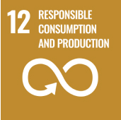 UN Sustainable Development Goal 12