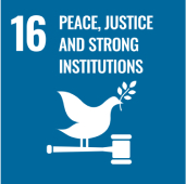 UN Sustainable Development Goal 16