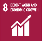 UN Sustainable Development Goal 8